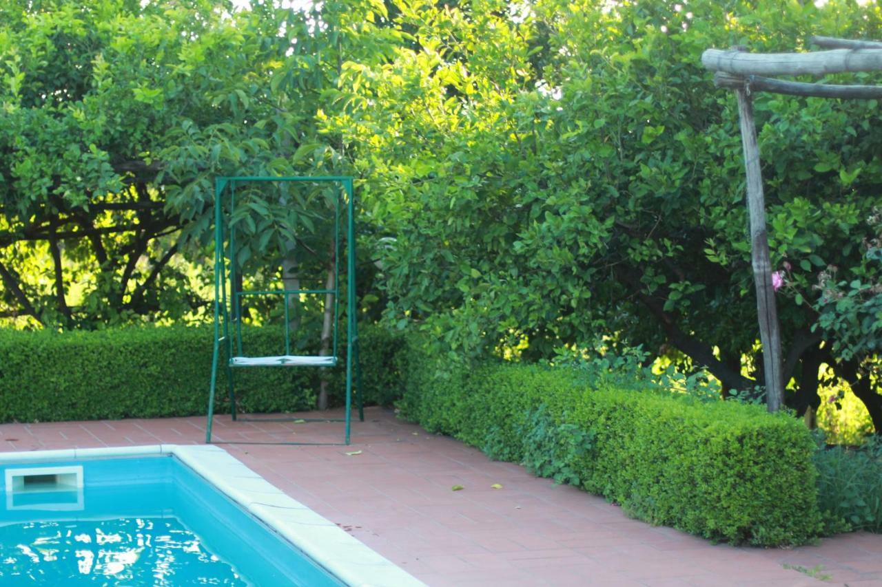 Desiderio D'Ammore Corbara (Campania) Exterior foto