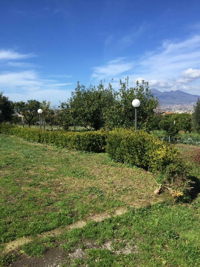 Desiderio D'Ammore Corbara (Campania) Exterior foto